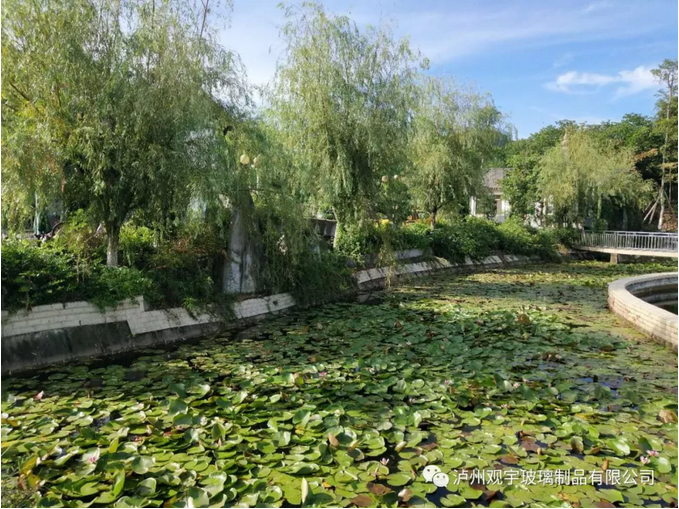 1536714152528767.png 泸州玻璃酒瓶.png